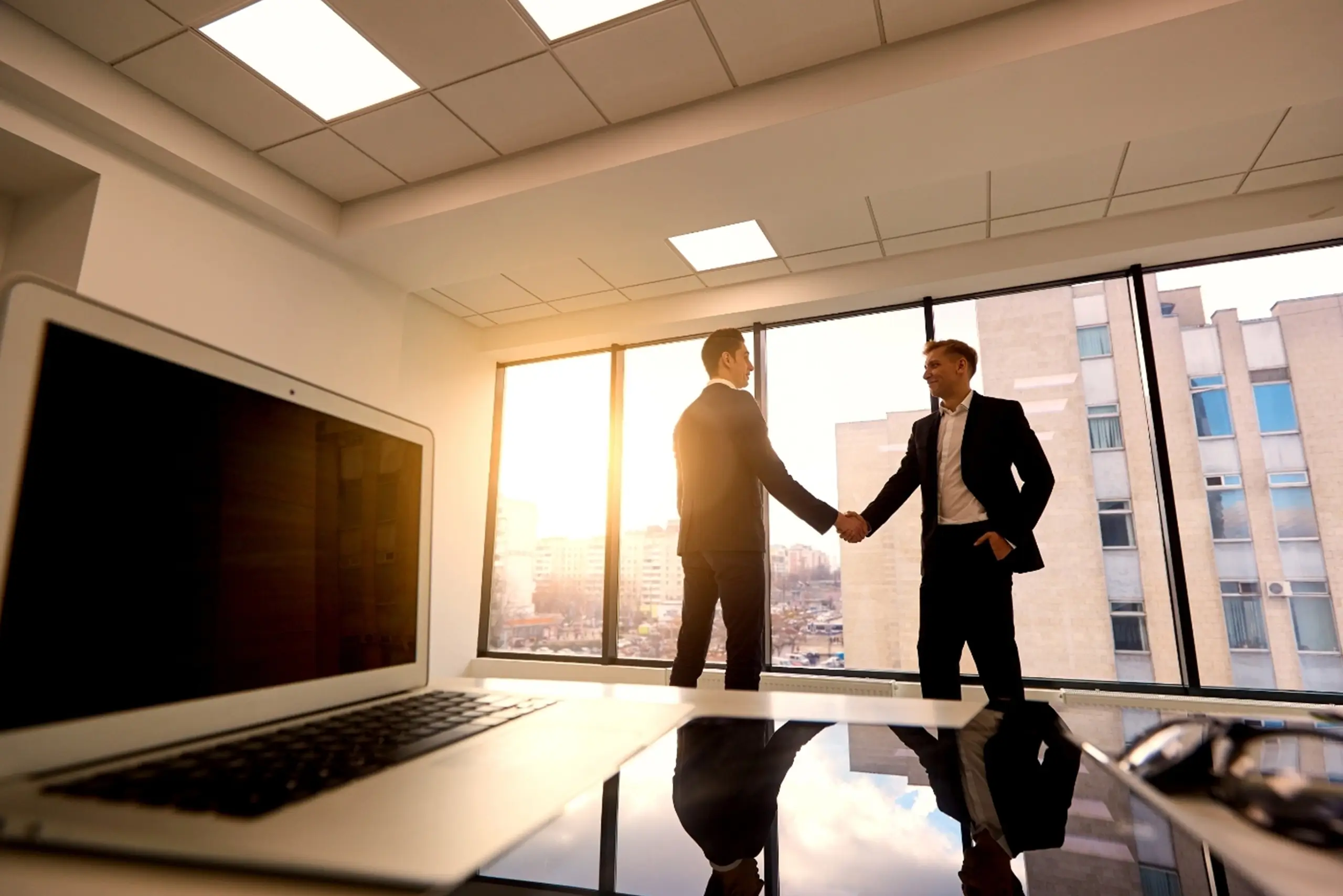Vast farmland landscape featuring rich brown soil, vibrant green fields, and a bright blue sky, with a gentle horizon line