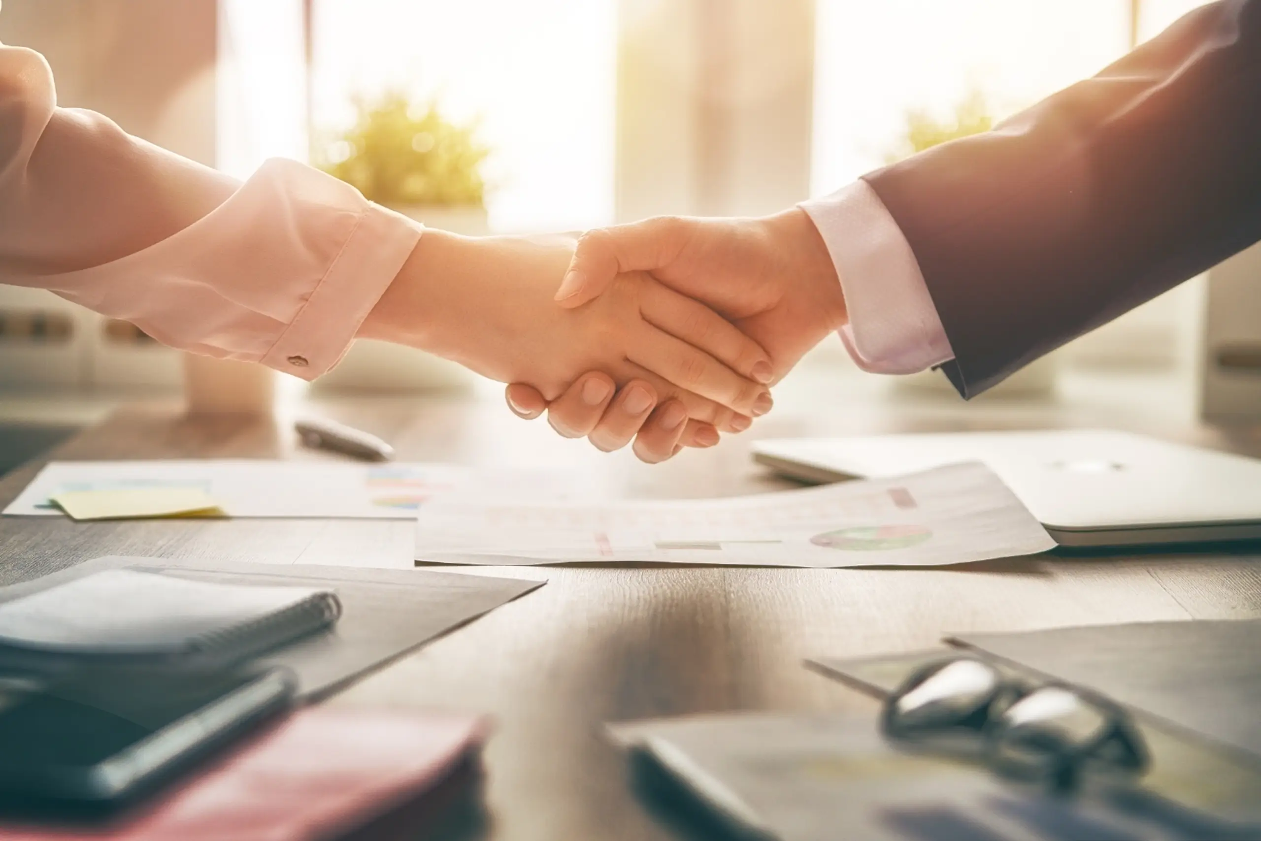 Close-up of vibrant green potato plants growing in well-tilled soil, illuminated by morning sunlight in a vast field
